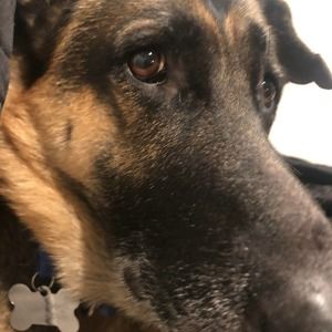 Meet your Posher, Annabella